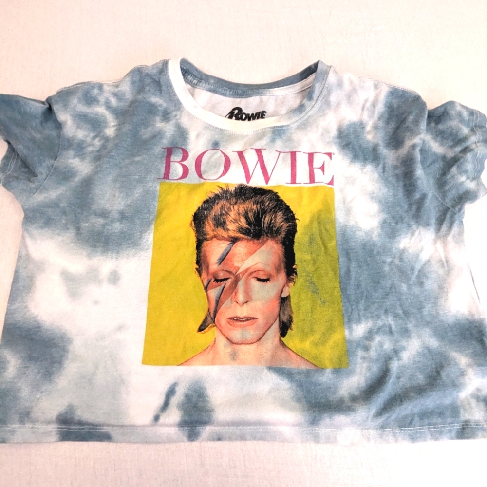 David Bowie Ziggy Stardust Alter Ego Tie Dye Cropped Tee